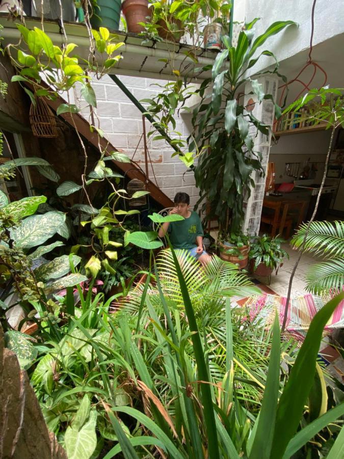 Hostal Casa Las Tias เมเดยิน ภายนอก รูปภาพ