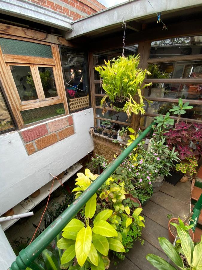 Hostal Casa Las Tias เมเดยิน ภายนอก รูปภาพ